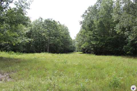 TBD CR 4670, DeKalb, TX 75559