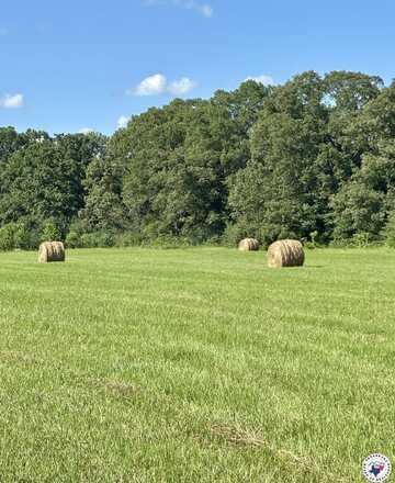 19.32 Acres Daniels Chapel Rd, New Boston, TX 75570