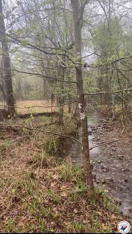 81 Glory Mountain Road, Out of Area-Arkansas, AR 71935