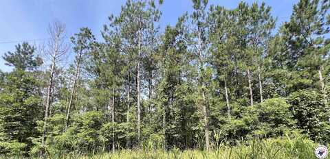 17.08 ac New Dora Rd, Haworth, OK 74740