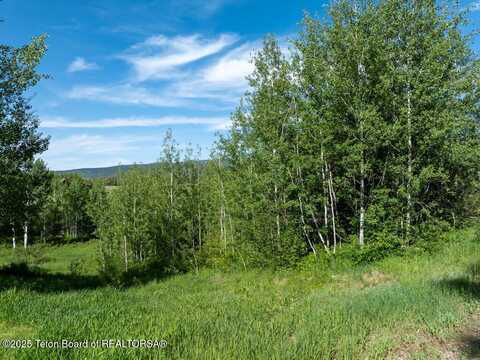 38 BLACKFOOT TRAIL, Victor, ID 83455
