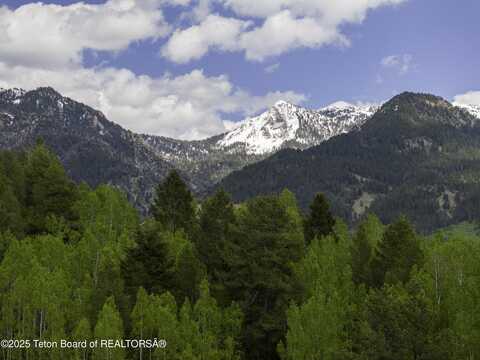 Lot 2 MININGER RD, Alpine, WY 83128