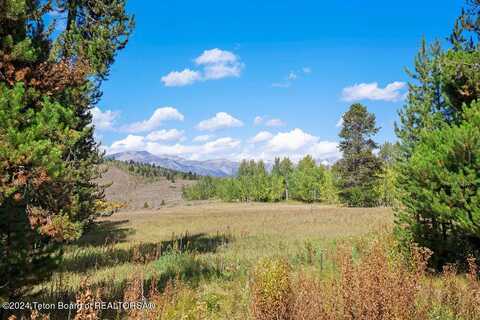 3625 W HIGHLAND Trail, Wilson, WY 83014
