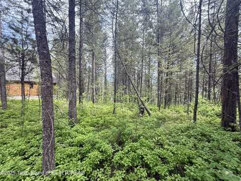 Lot 226 PINECREST CIRCLE, Alpine, WY 83128