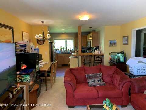 955 BUDGE Drive, Jackson, WY 83001