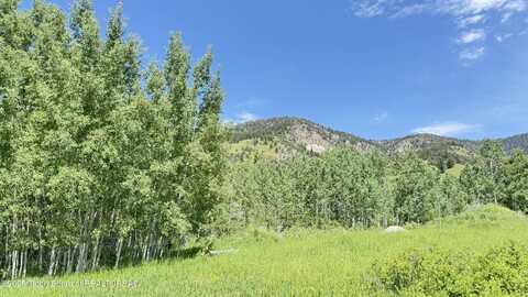 LOT 20 DOGWOOD DRIVE, Star Valley Ranch, WY 83127