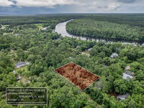 Pamela Place, Sopchoppy, FL 32358