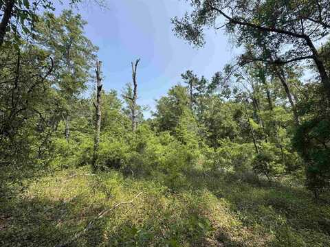 0 Tern Road, Tallahassee, FL 32305