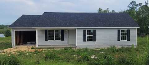 933 Evergreen Lane, Douglas, GA 31533
