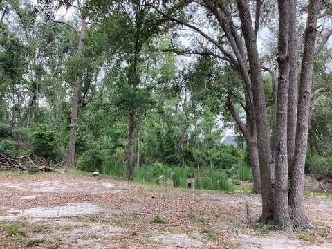317 SE Centerwood Lane, Lee, FL 32059