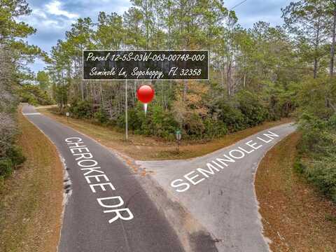 81 Cherokee Drive, Sopchoppy, FL 32358