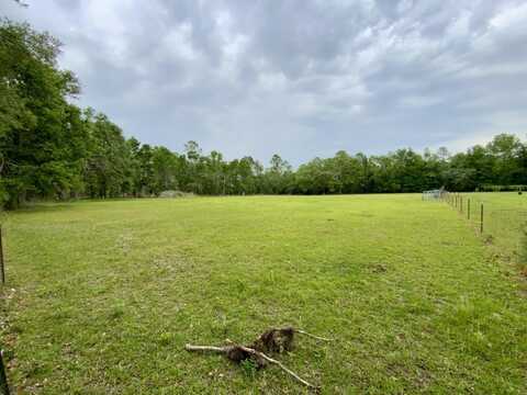 Vacant NE Bellville Highway, Pinetta (Madison County), FL 32350