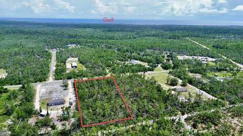 0 Stricklands Bridge Road, Perry, FL 32348