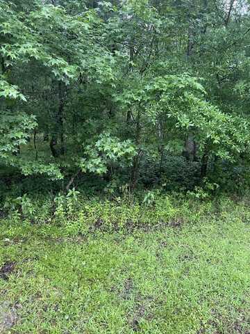 0 NE CASSIA Drive, Lee, FL 32059