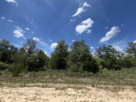Magnolia Lane, Marianna, FL 32448