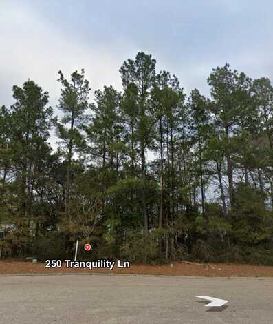250 Tranquility Lane, Havana, FL 32333
