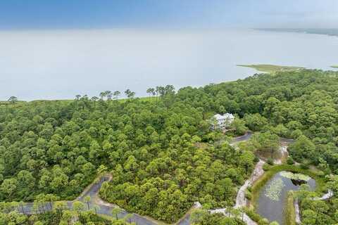 158 OAK DUNE Lane, St Teresa, FL 32358