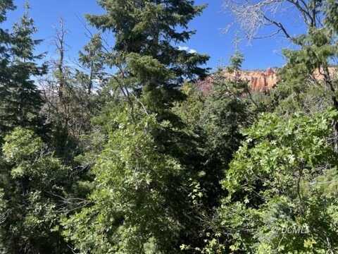 A2 Wonderland Vista, Duck Creek Village, UT 84762