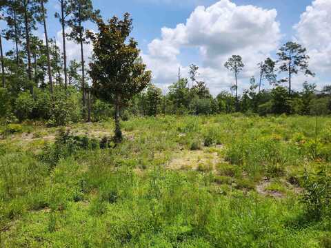 Xxx HWY 20, Other Florida, FL 32446
