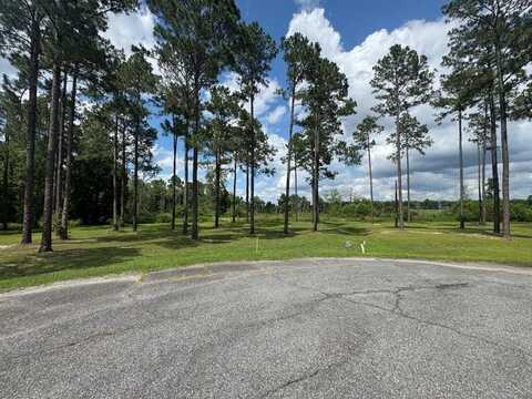 163 Country Woods, Poulan, GA 31781