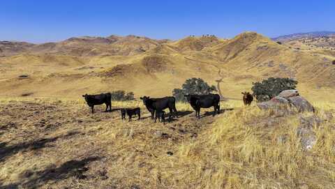 Ave 176, Porterville, CA 93257