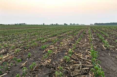 Thomas Avenue, Coggon, IA 52218