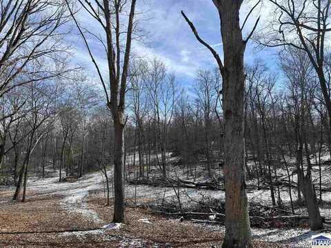 county road 75 W, Cayuga, IN 47847