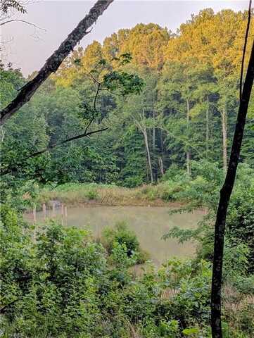 00 Johnson Creek Road, Ararat, VA 24053