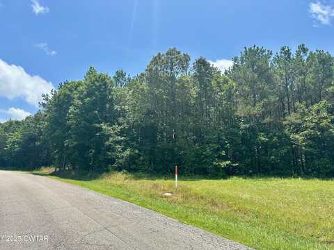 00 Moonshine Lp, Huron, TN 38345