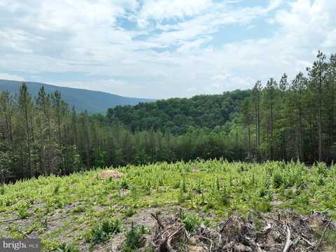 20.17 AC NORTH TEXAS ROAD, DELRAY, WV 26714