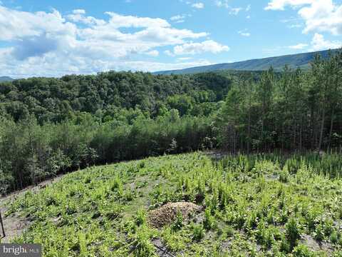 20.17 AC NORTH TEXAS ROAD, DELRAY, WV 26714