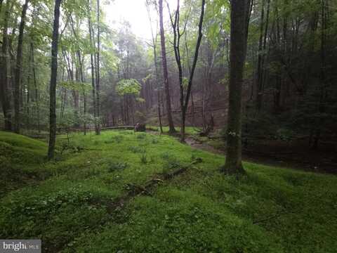 0 SPRIGGLE HOLLOW ROAD, ELLIOTTSBURG, PA 17024