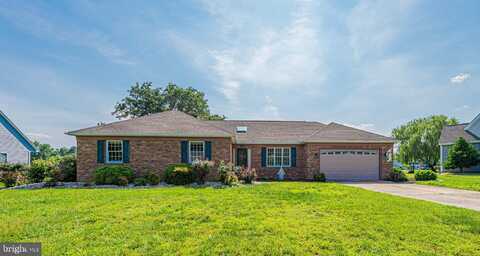 173 E MILL POND DRIVE, SELBYVILLE, DE 19975