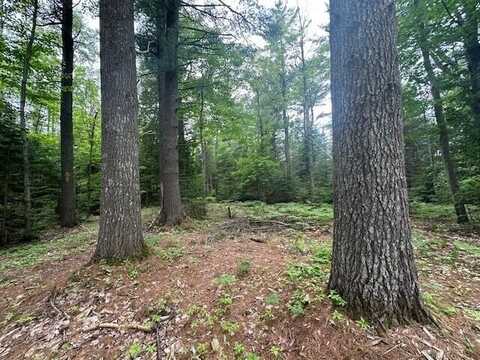 8.71ac S M-129, Muir, MI 49783