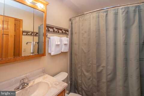 333 SLOAN TRACT ROAD, OAKLAND, MD 21550