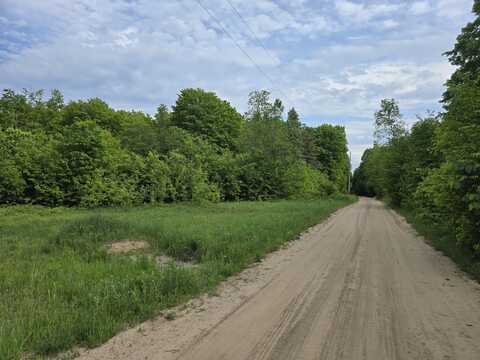 NE Fawn Lane LN, Mancelona, MI 49659