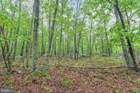 55 SCARLET WAY, BIGLERVILLE, PA 17307