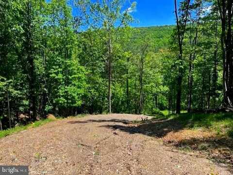 28 BLUFFS ROAD, SPRINGFIELD, WV 26763