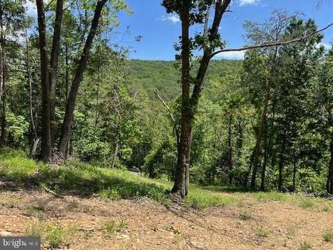28 BLUFFS ROAD, SPRINGFIELD, WV 26763