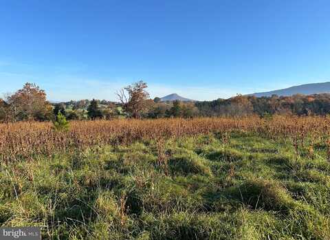2 LOTS 98 ACRES SMITH CREEK ROAD, NEW MARKET, VA 22844