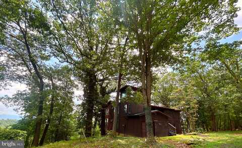 53 LEIGH COURT, BASYE, VA 22810