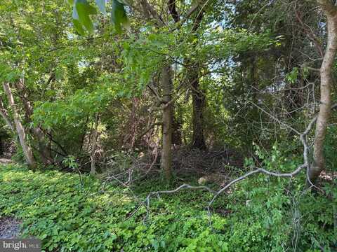 0 ACKERMAN DRIVE, STEVENSVILLE, MD 21666