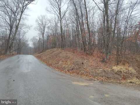 ALAMO LANE, FALLING WATERS, WV 25419