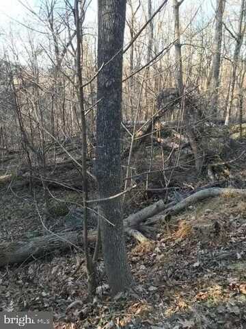 NORTHERN SPY DRIVE, LINDEN, VA 22642