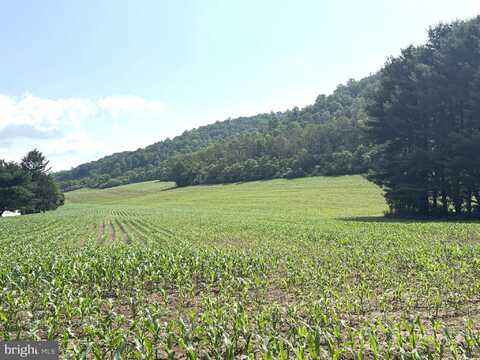7260 CHILCOTE HOLLOW ROAD, PETERSBURG, PA 16669