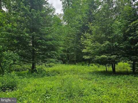 00 PISGAH REST ROAD, SHERMANS DALE, PA 17090