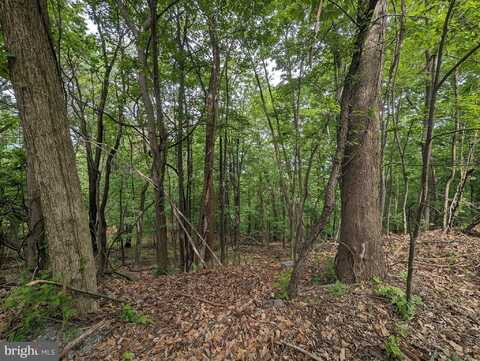 0 BRANDY ROAD, FRONT ROYAL, VA 22630