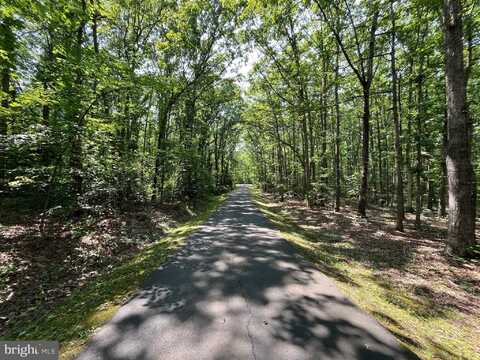 11459 BRISTERSBURG ROAD, CATLETT, VA 20119