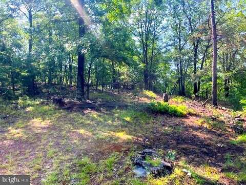 155 BONNEAU LANE, BURLINGTON, WV 26710