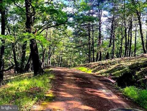 155 BONNEAU LANE, BURLINGTON, WV 26710